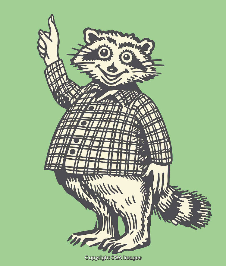 Anthropomorphic Cartoon Raccoon Character in Plaid Shirt Raising Its Hand