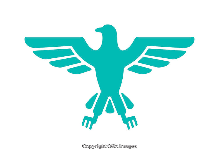 Turquoise Winged Bird Symbol on a White Background