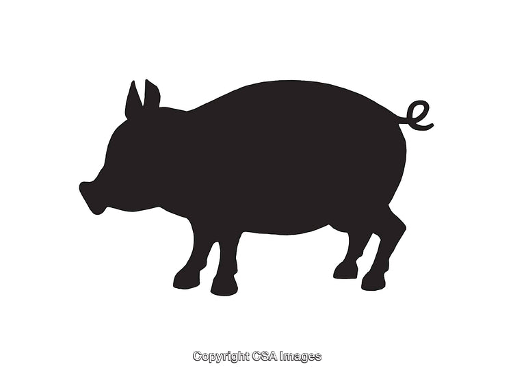 Silhouette of a Pig Icon in Black and White