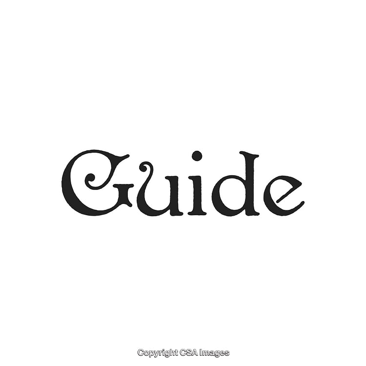 Ornate Decorative Word Design in Black Font on a Clean White Background