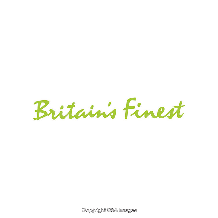 Modern Lime Green Typeface Design on a Clean Background
