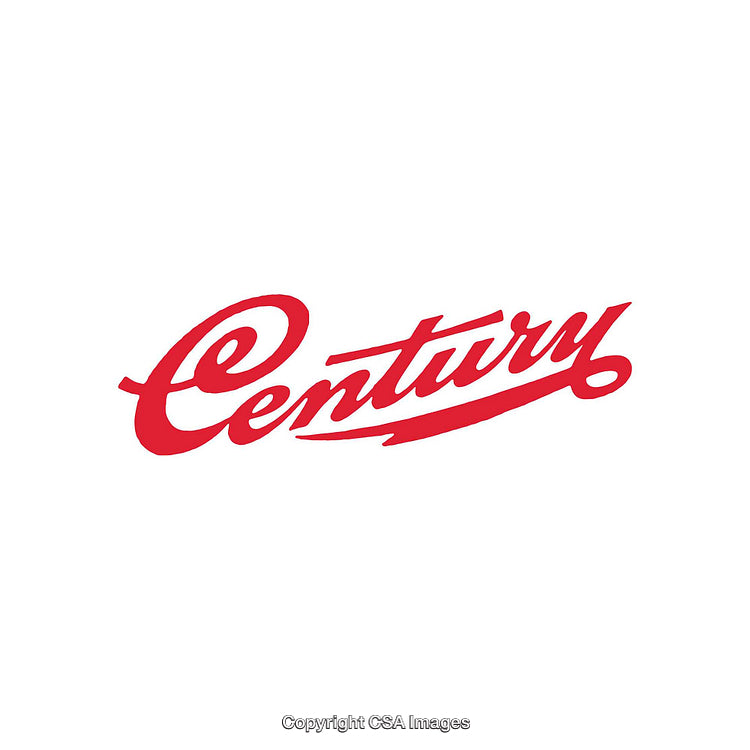 Red Script Typeface Word Logo With Elegant Swirl Designs