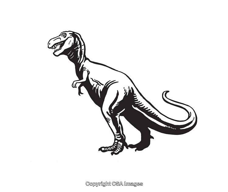 Black and White Line Art Illustration of a Dinosaur
