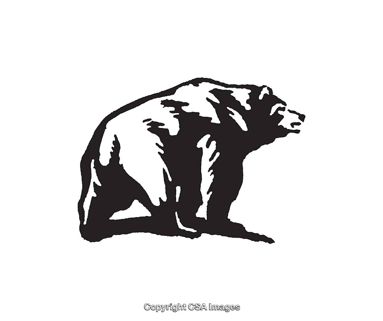 Black and White Illustration of a Grizzly Bear in Artistic Style