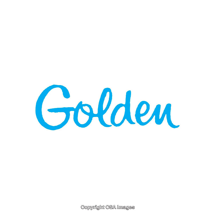 Blue Text Depicting The Word Golden on a White Background