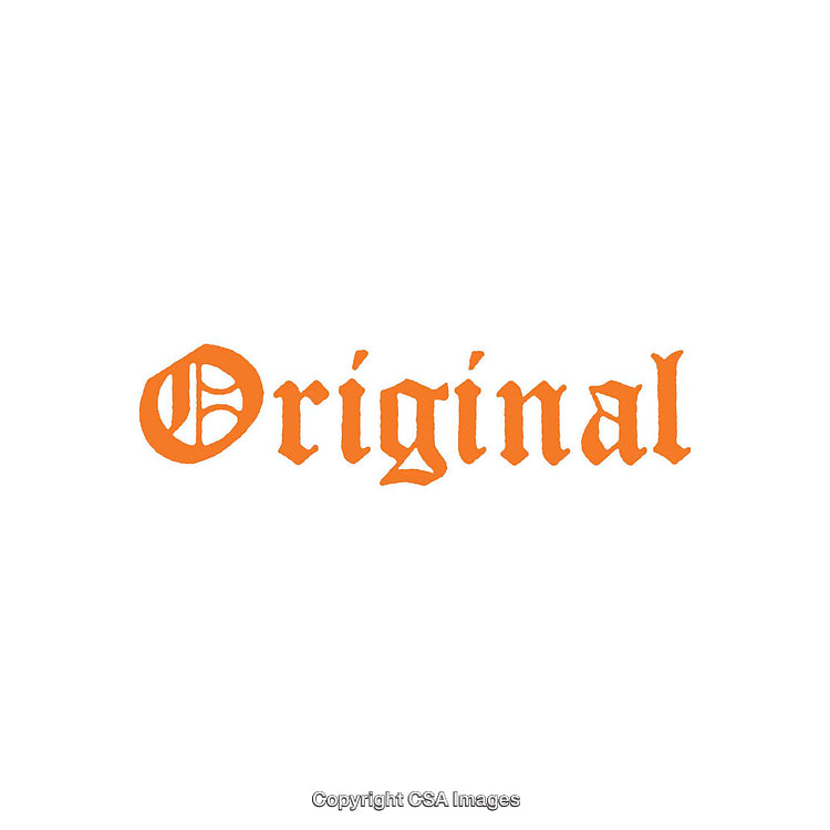 Orange Calligraphy Displaying the Word 'Original' on White Background