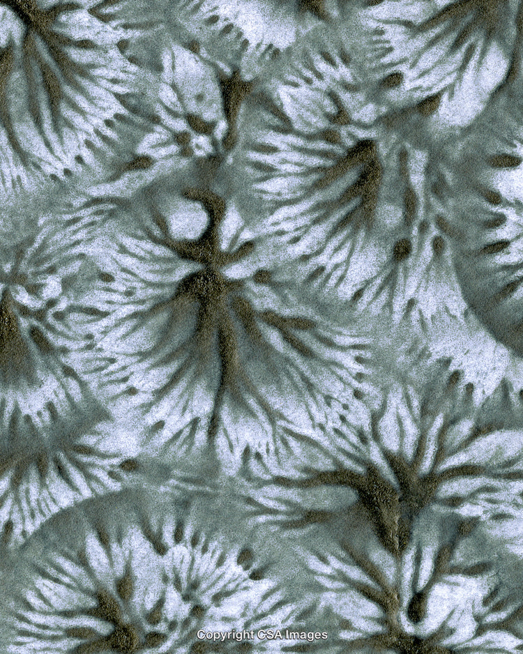 Pattern