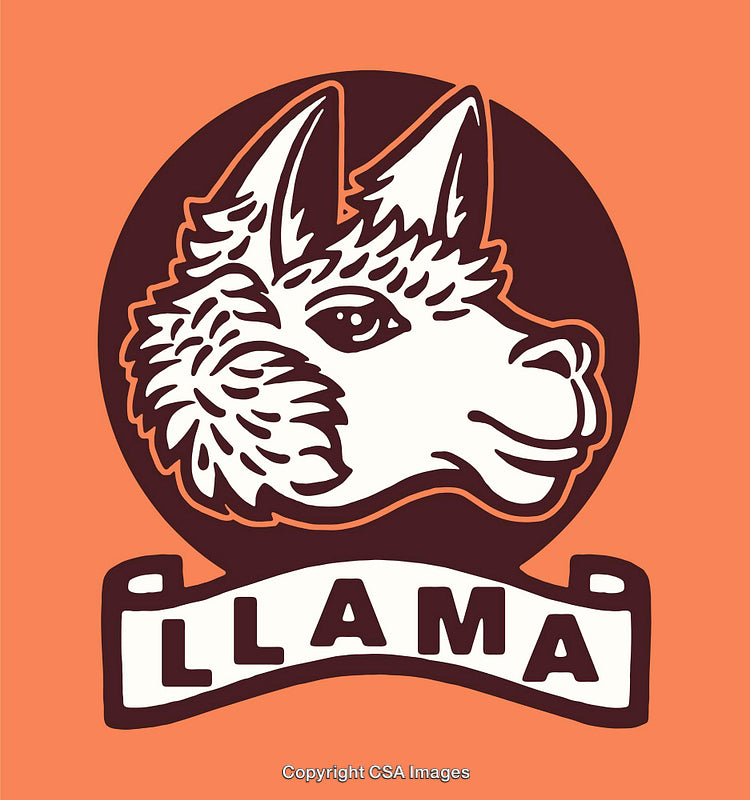 Playful Llama Illustration with Vibrant Colorful Design and Artistic Elements