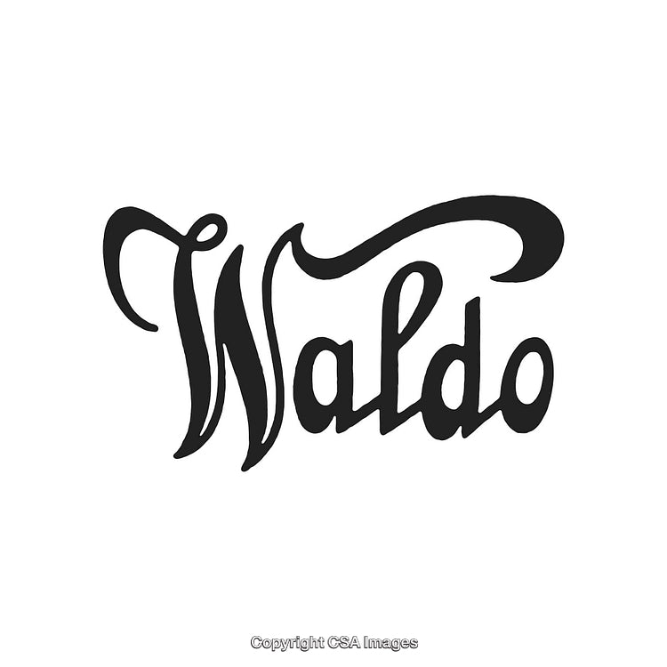 Artistic Typography Featuring the Word 'Waldo' in Stylish Black Design