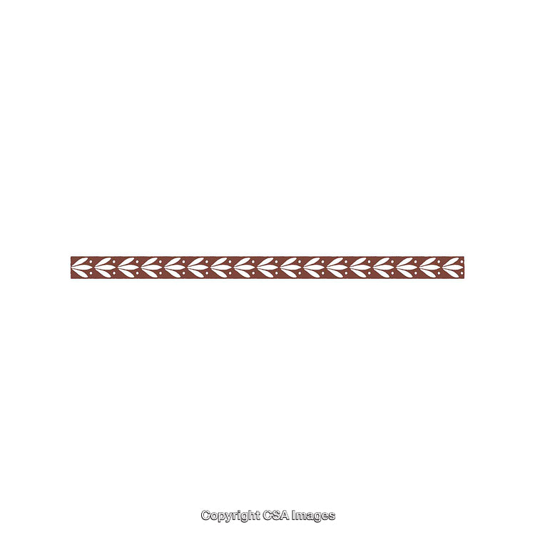 Intricate Decorative Border With Leaf Motif on White Background