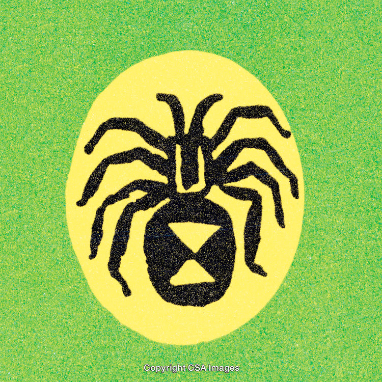 Abstract Spider Logo on Green and Yellow Background