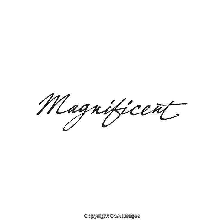 Elegant Handwritten Word 'Magnificent' on a Minimal White Background