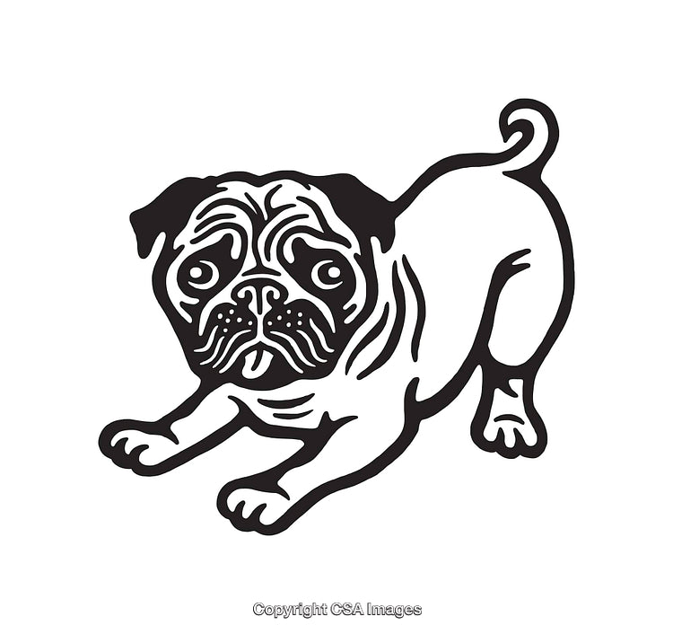Black And White Line Art Illustration of a Playful Pug Dog