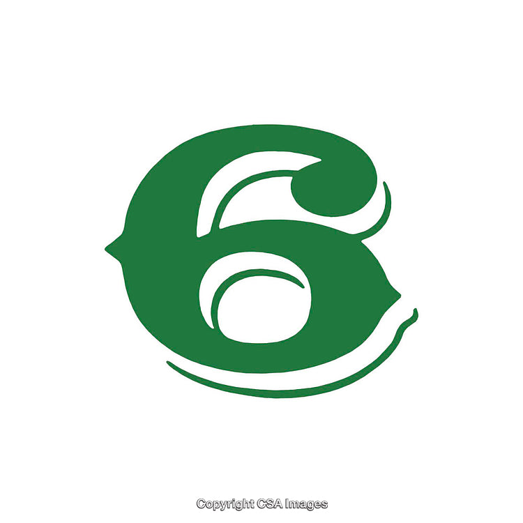 Green Stylized Number Six on a White Background