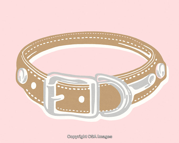 Illustration of a Dog Collar on a Pastel Pink Background