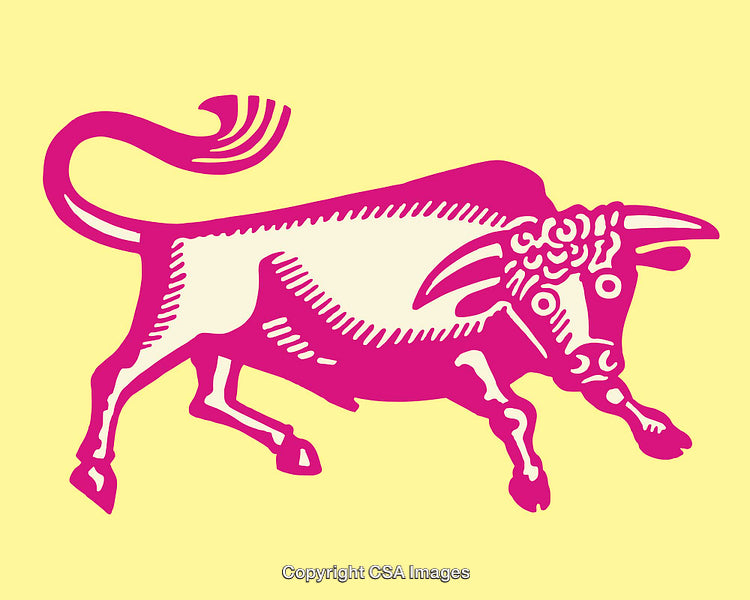 Colorful Line Art Illustration of a Bull in a Bold Style