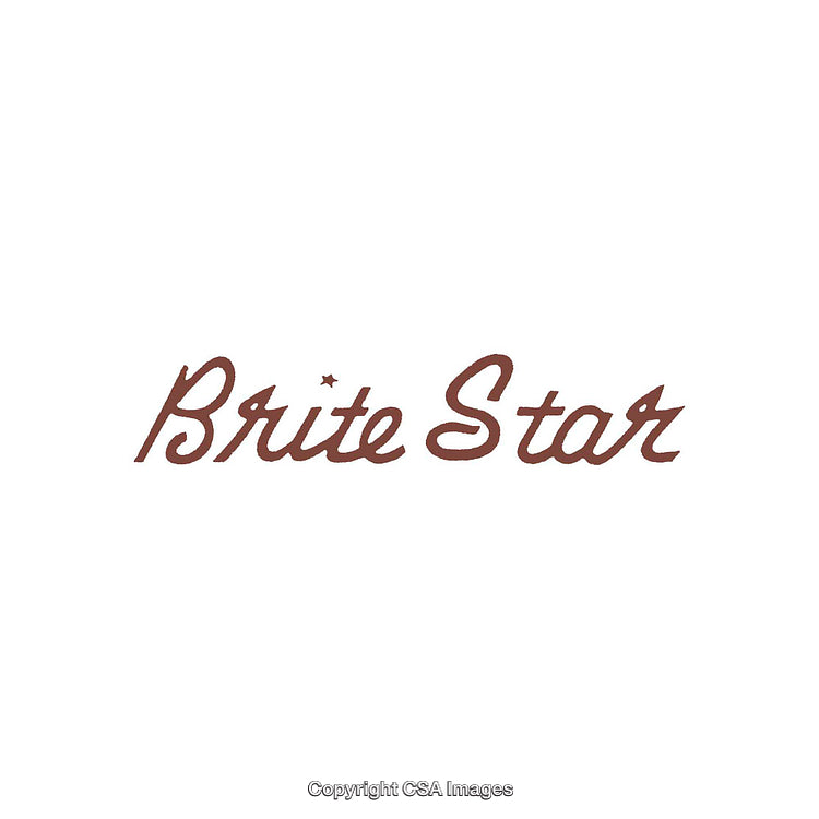 Elegant Vintage Script Logo Design With A Retro Aesthetic