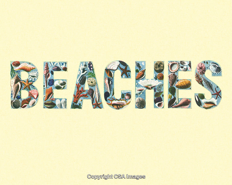 Colorful Beach-Themed Typography Incorporating Sea Shells and Marine Elements