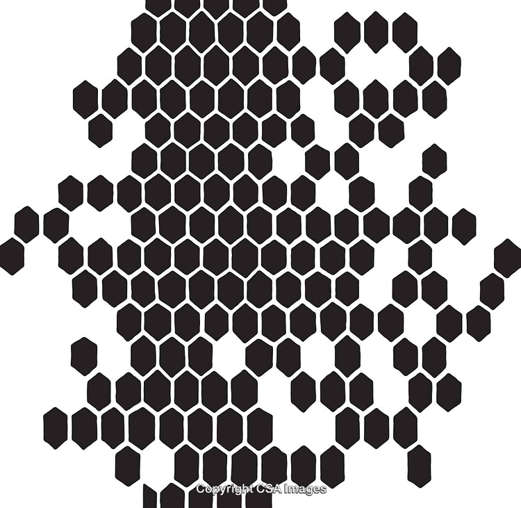 Abstract Black and White Hexagonal Pattern With Geometric Shapes