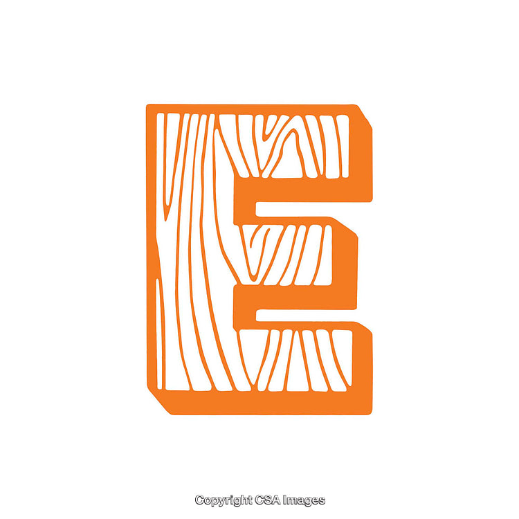 Orange Letter E With Wood Grain Effect on White Background