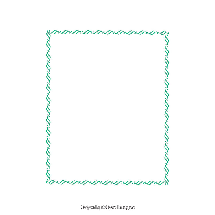 Elegant Green Border Design With Twisted Ornamental Pattern on White Background