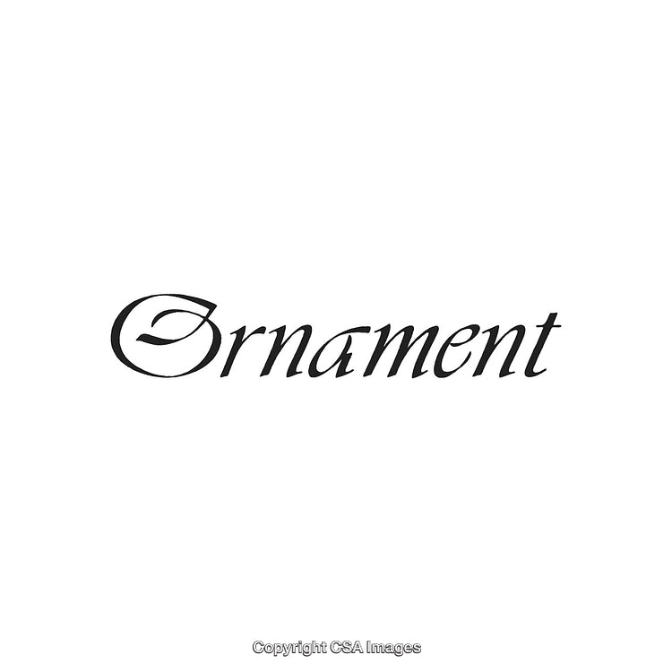 Elegant Calligraphy Displaying the Word Ornament on a White Background