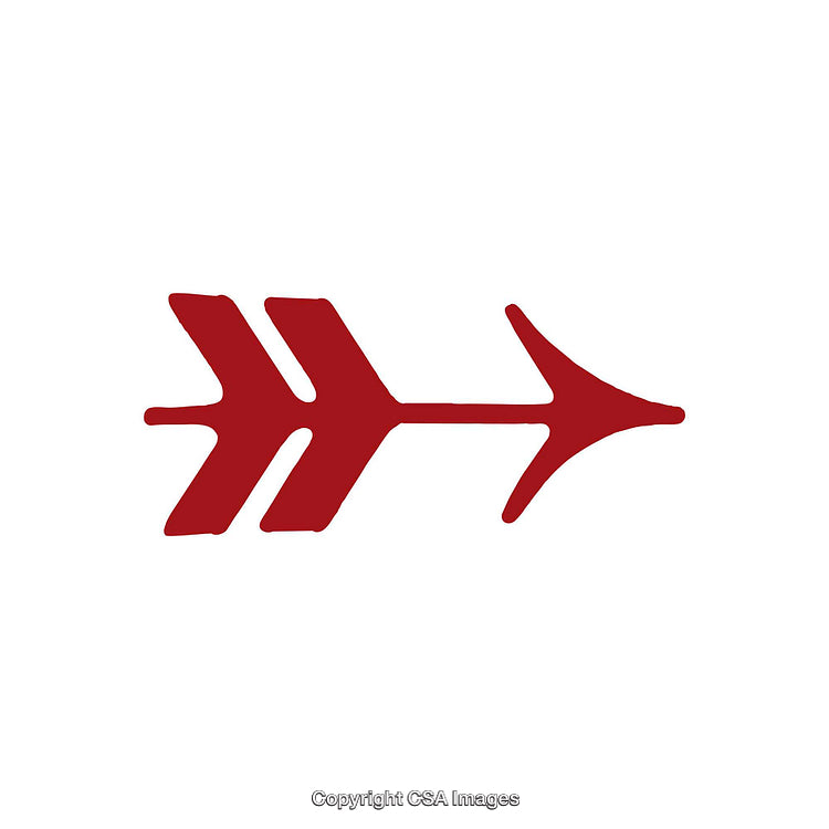 Red Arrow Design Symbol Isolated on a White Background