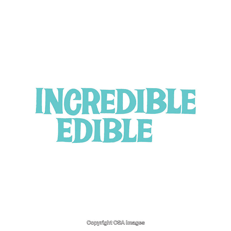 Minimalist Typography Design with Blue Text on White Background