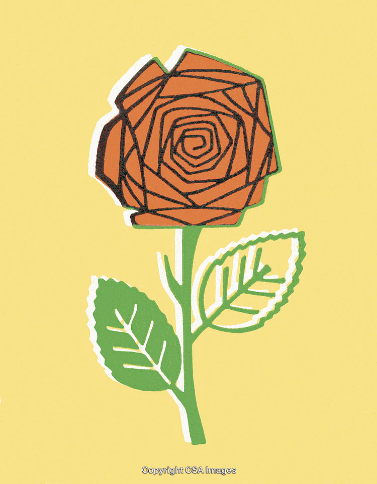 Red Rose