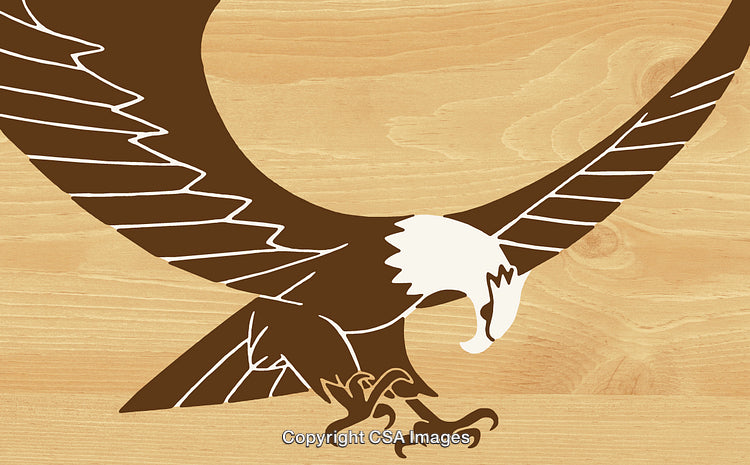 Stylized Illustration of an Eagle in Flight on a Wooden Background