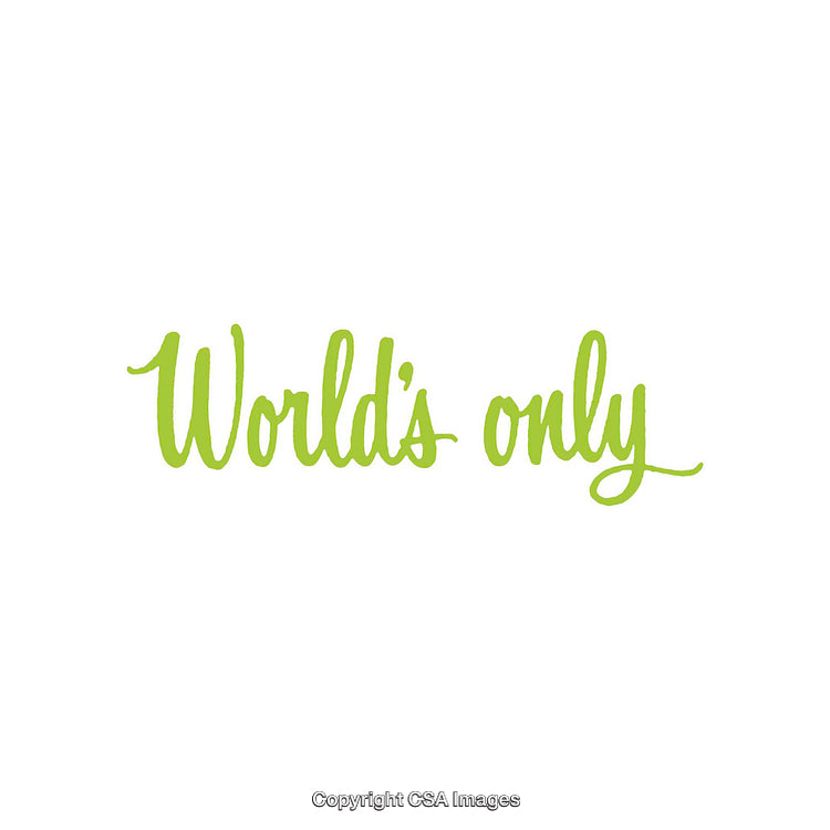Elegant Green Calligraphy Displaying the Words "World's Only"