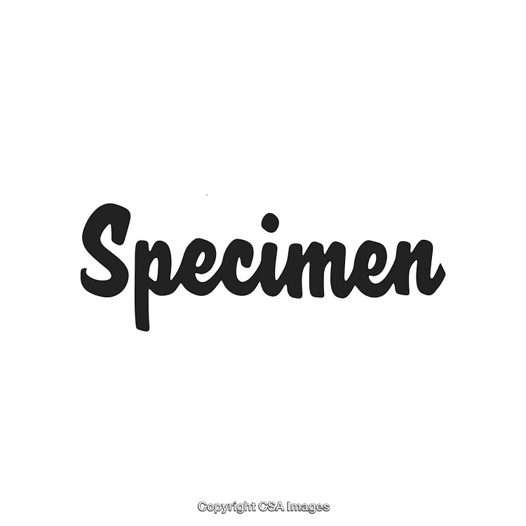 Black Handwritten Brush Font on White Background