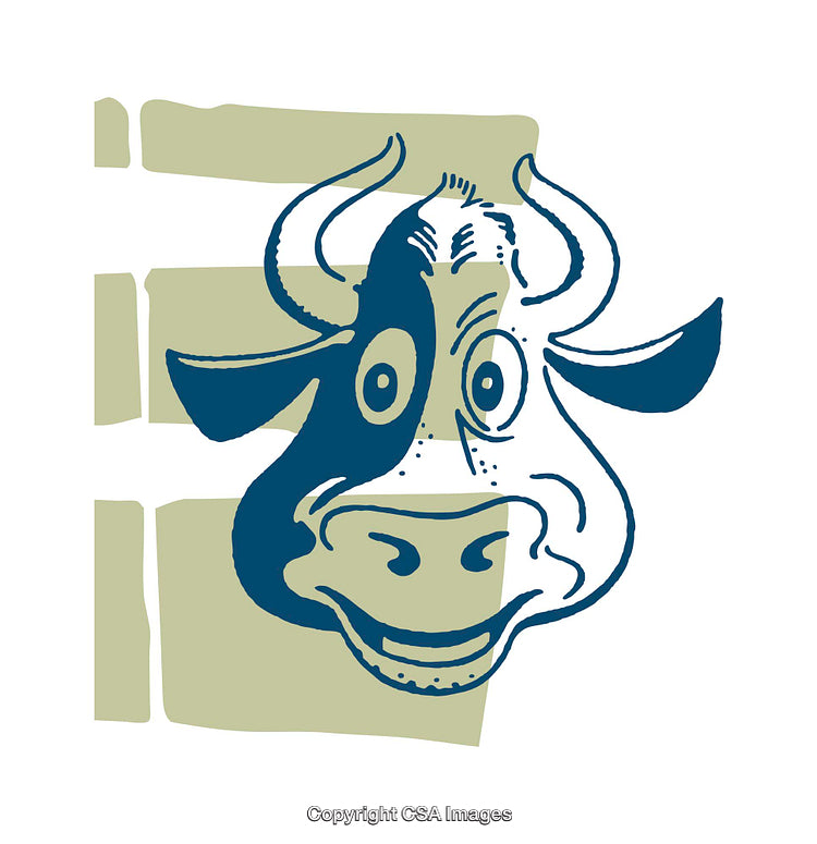 Fun Cartoon Illustration of a Cheerful Cow Head Design