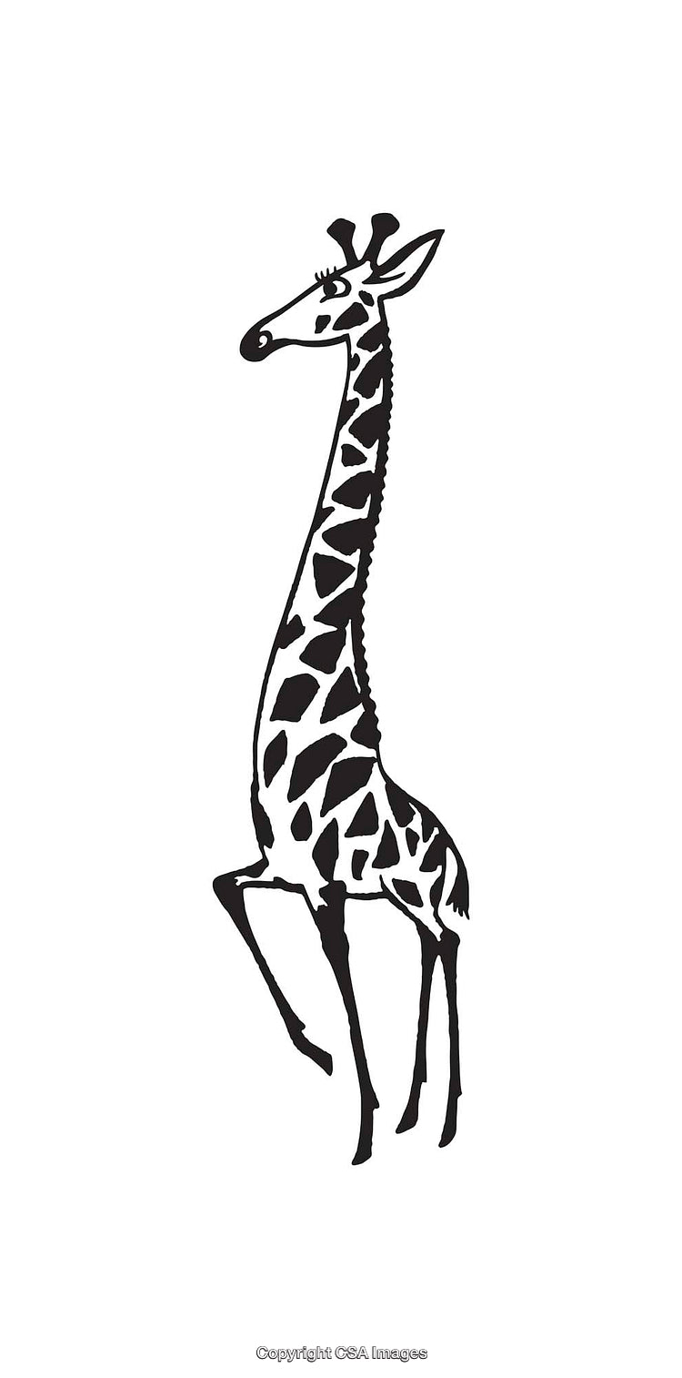 Stylized Black and White Line Art Illustration of a Standing Giraffe