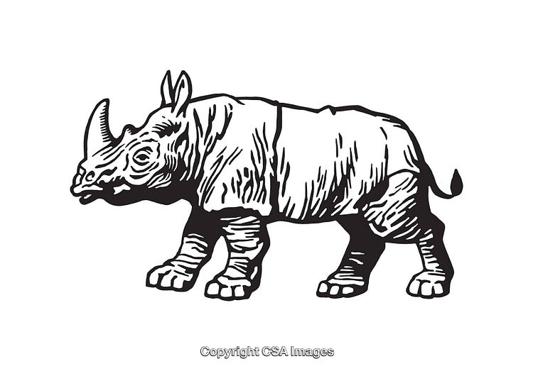 Detailed Line Art Illustration of a Rhinoceros in Black and White