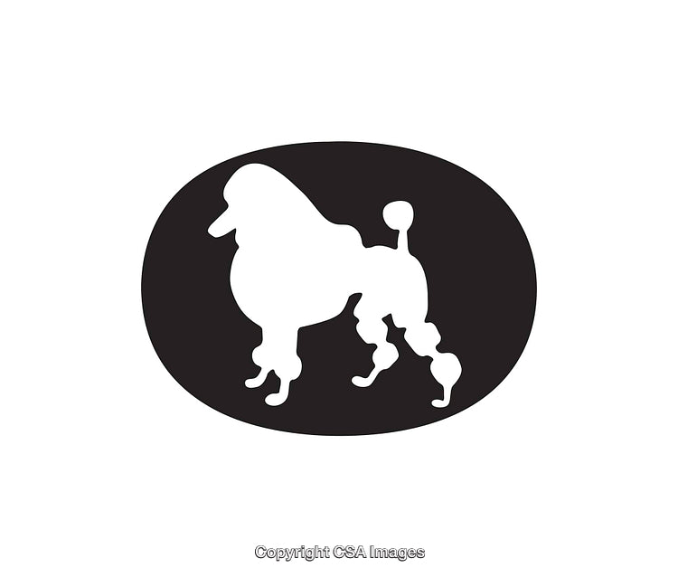 Silhouette of a Poodle Dog in Modern Black and White Icon Design