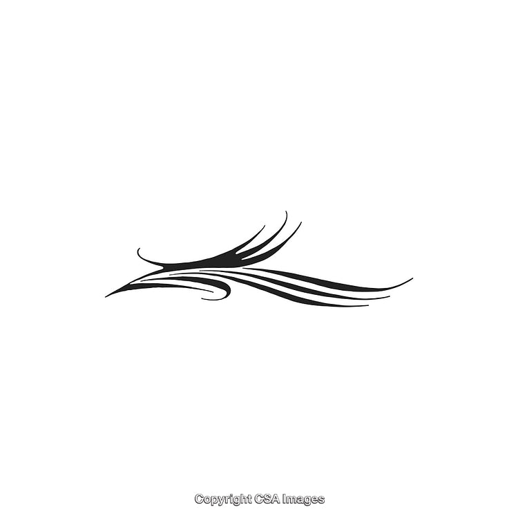 Stylized Black and White Decorative Ornament Design with Curving Lines
