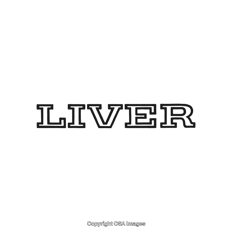 Typography Design Featuring the Word Liver in Bold Black Letters on White
