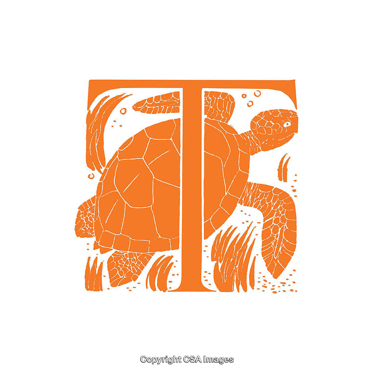 Illustration of a Turtle Framed by a Stylized Letter T