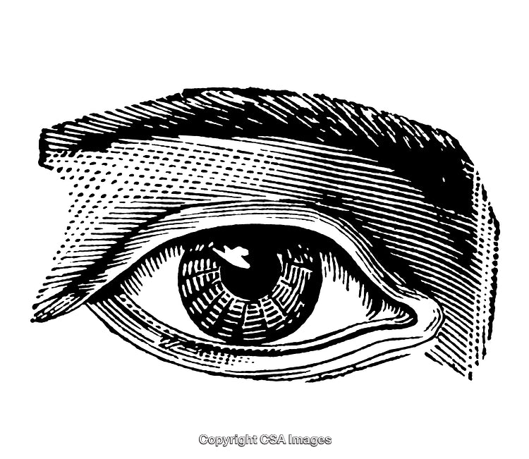 Vintage Black and White Engraved Illustration of an Eye