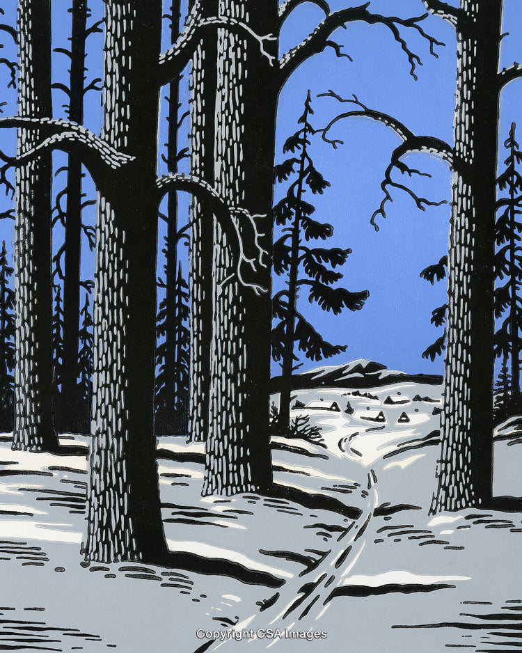 Winter Forest With Snow-Covered Trail and Distant Mountain View