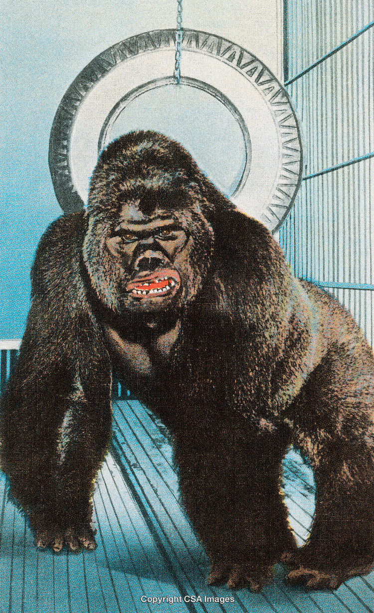 Vintage Illustration of a Gorilla in a Captive Setting With Artistic Style