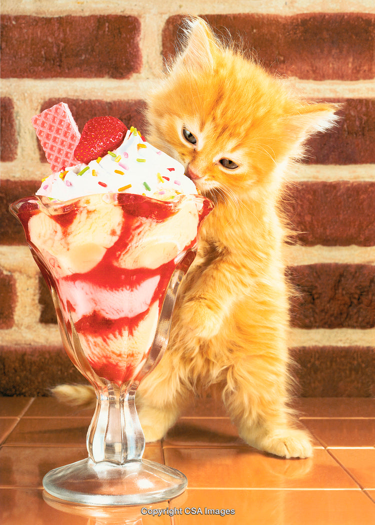 Adorable Kitten Enjoying a Delicious Ice Cream Sundae on a Colorful Background