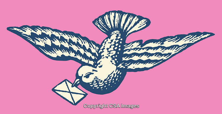Vintage Illustration of a Bird Delivering a Message on Pink Background