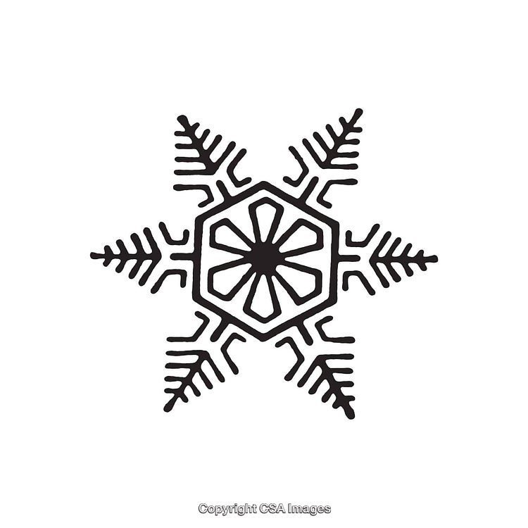 Intricate Black and White Snowflake with Geometric Design Elements