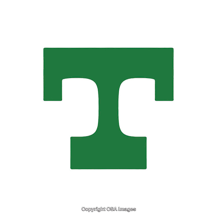 Bold Green Letter T Icon in Minimalist Design on White Background