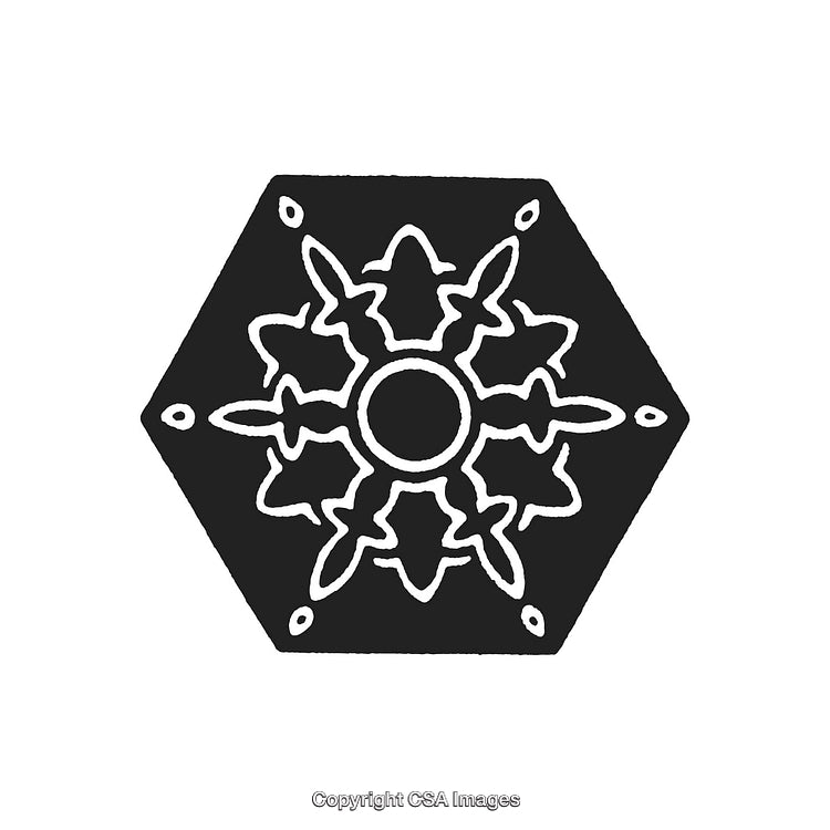 Black and White Hexagonal Ornament with Intricate Symmetrical Design
