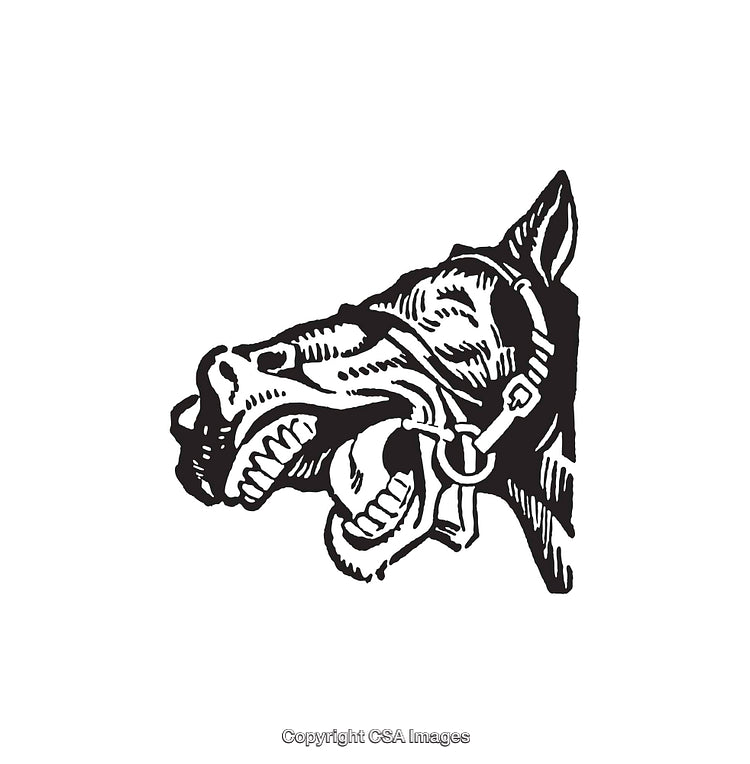 Vintage Black and White Illustration of a Horse's Expressive Face
