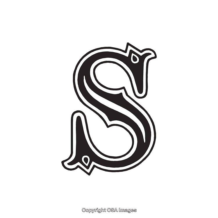 Decorative Capital Letter S in Monochrome Artistic Design