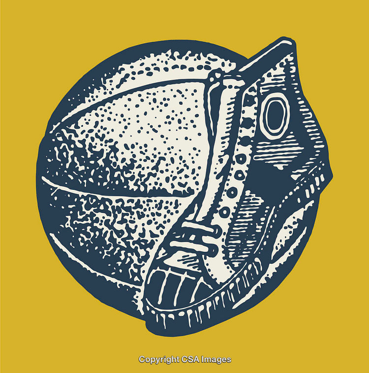 Vintage Line Art of Basketball and Classic Shoe on Yellow Background